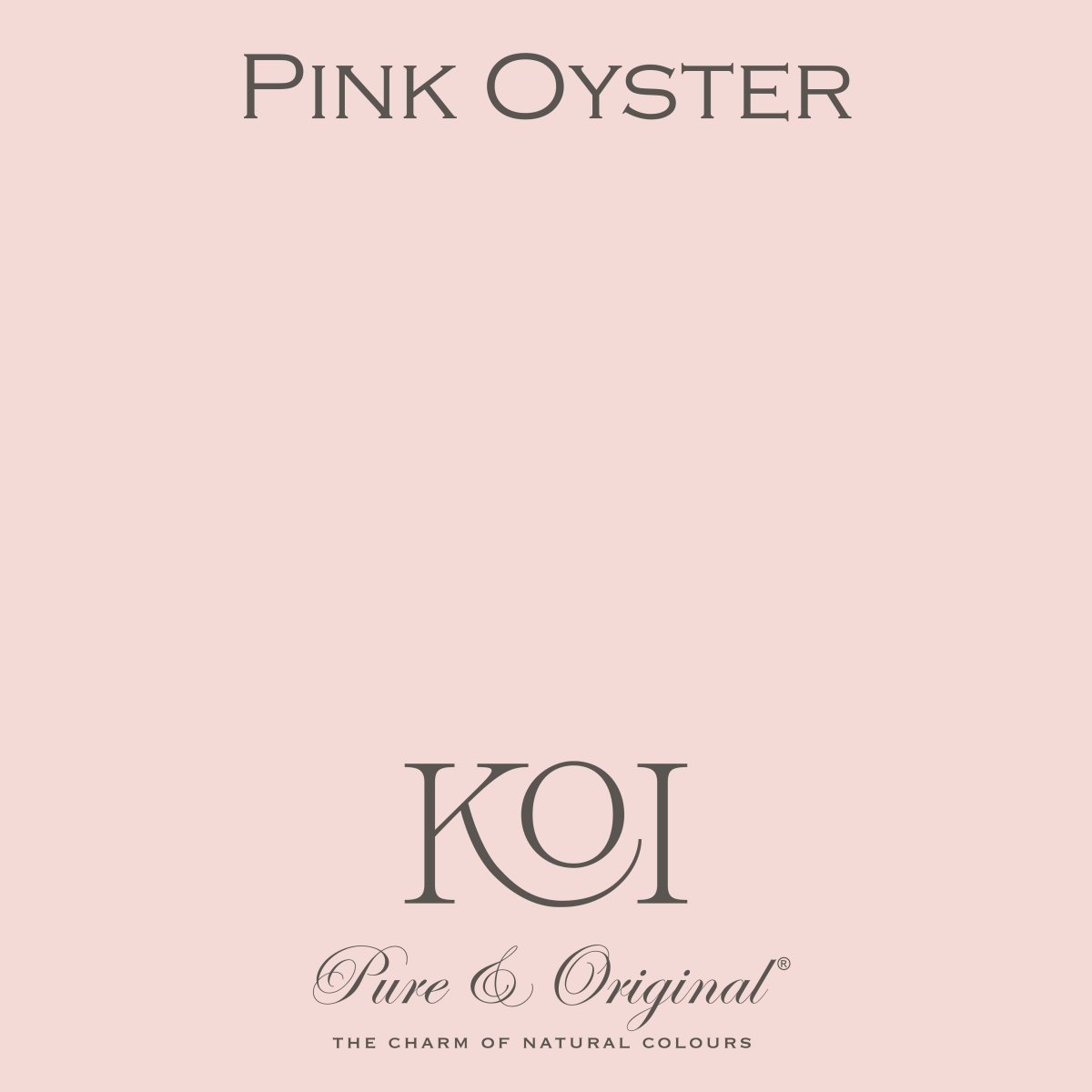 Pink Oyster - LAB COLOUR THE WORLD