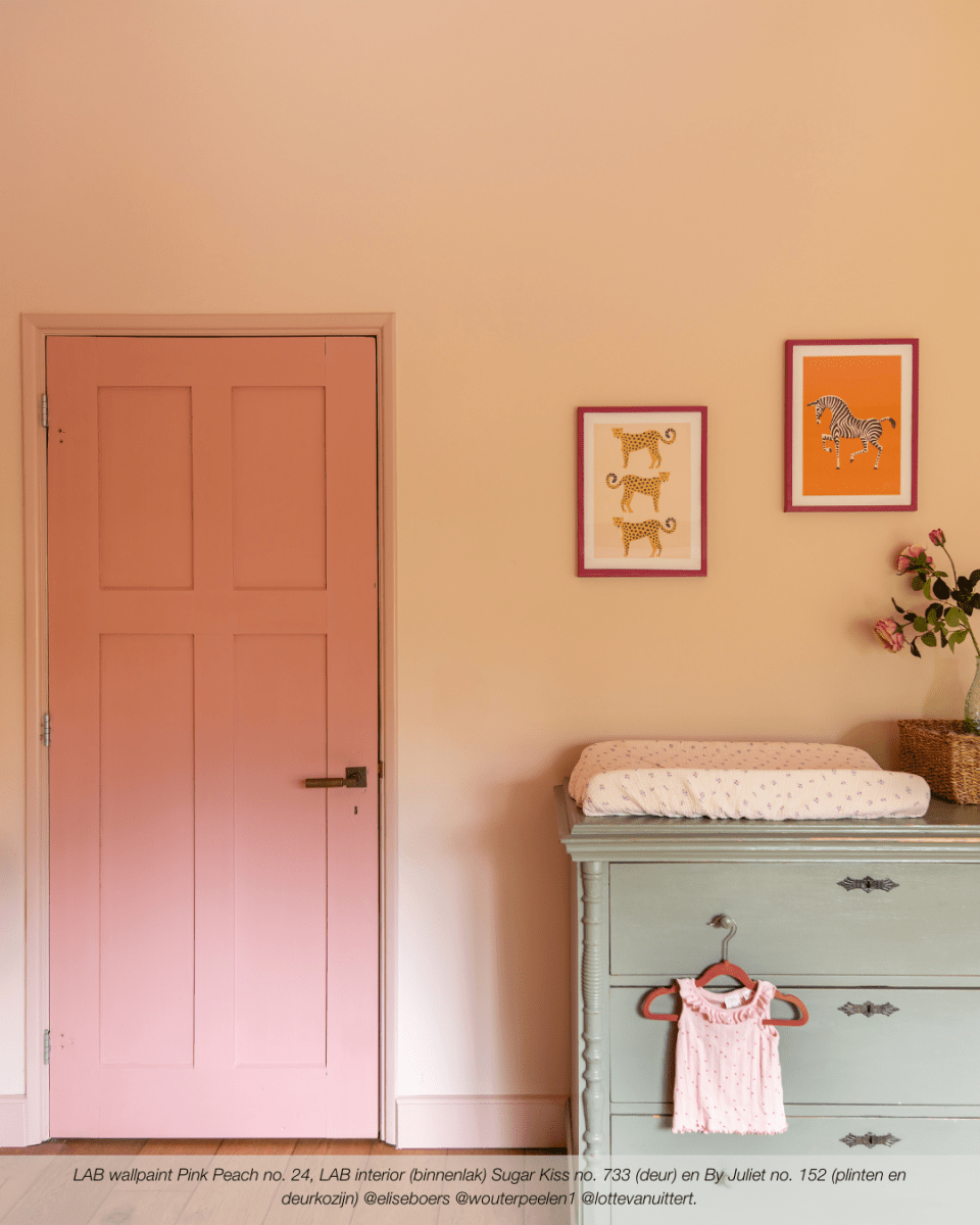 PINK PEACH NO. 24 - LAB COLOUR THE WORLD