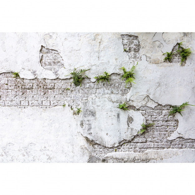 Les Dominotiers Plants & Brick Wall Blanc Et Vert Behang DOM 406