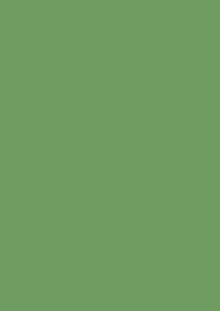 Raw Tomatillo no. CB6 - LAB COLOUR THE WORLD