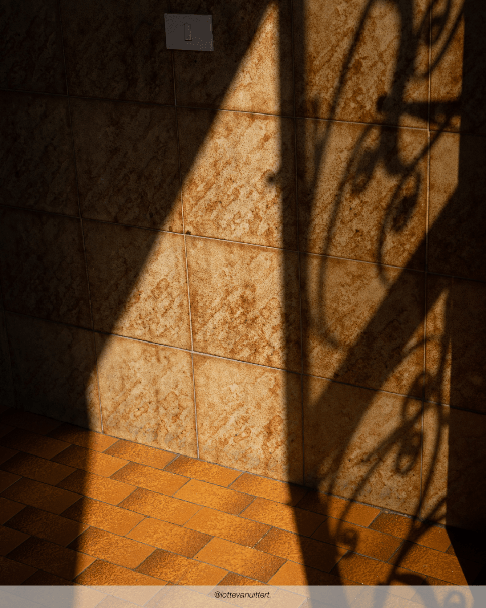 RUSTY REBEL NO. 129 - LAB COLOUR THE WORLD