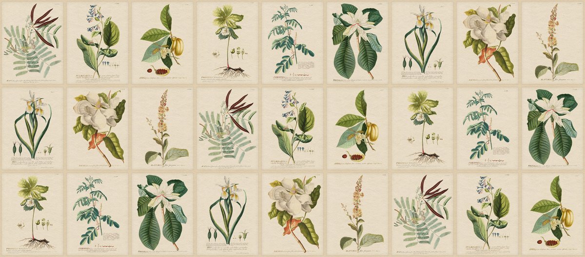 Sandberg Flora Behang S10598 - LAB COLOUR THE WORLD