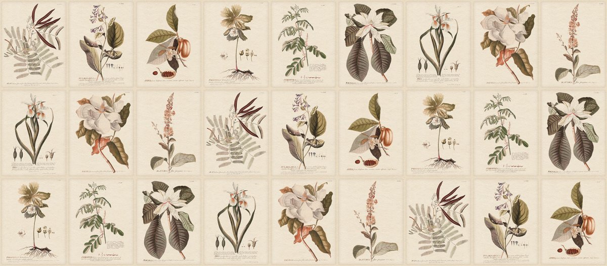 Sandberg Flora Behang S10599 - LAB COLOUR THE WORLD