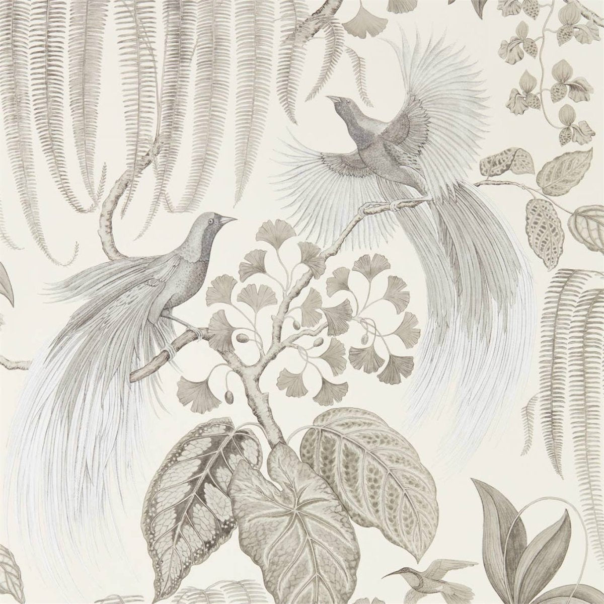 Sanderson Bird of Paradise Behang 216652 - LAB COLOUR THE WORLD