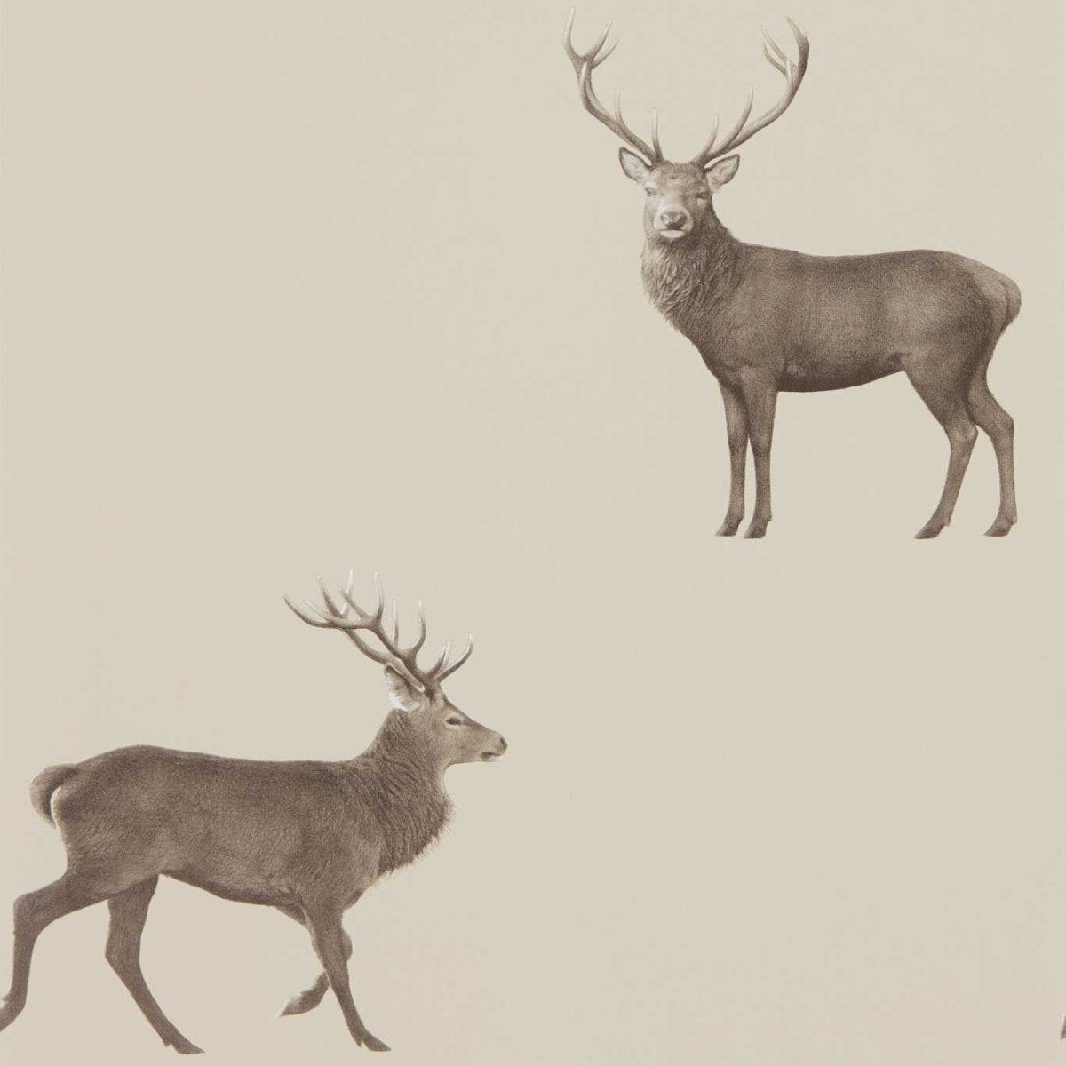 Sanderson Evesham Deer Behang 216618 - LAB COLOUR THE WORLD