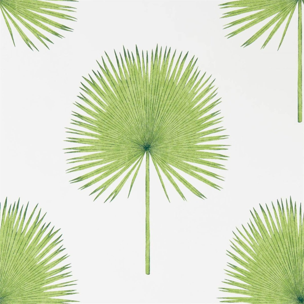 Sanderson Fan Palm Behang 216636 - LAB COLOUR THE WORLD