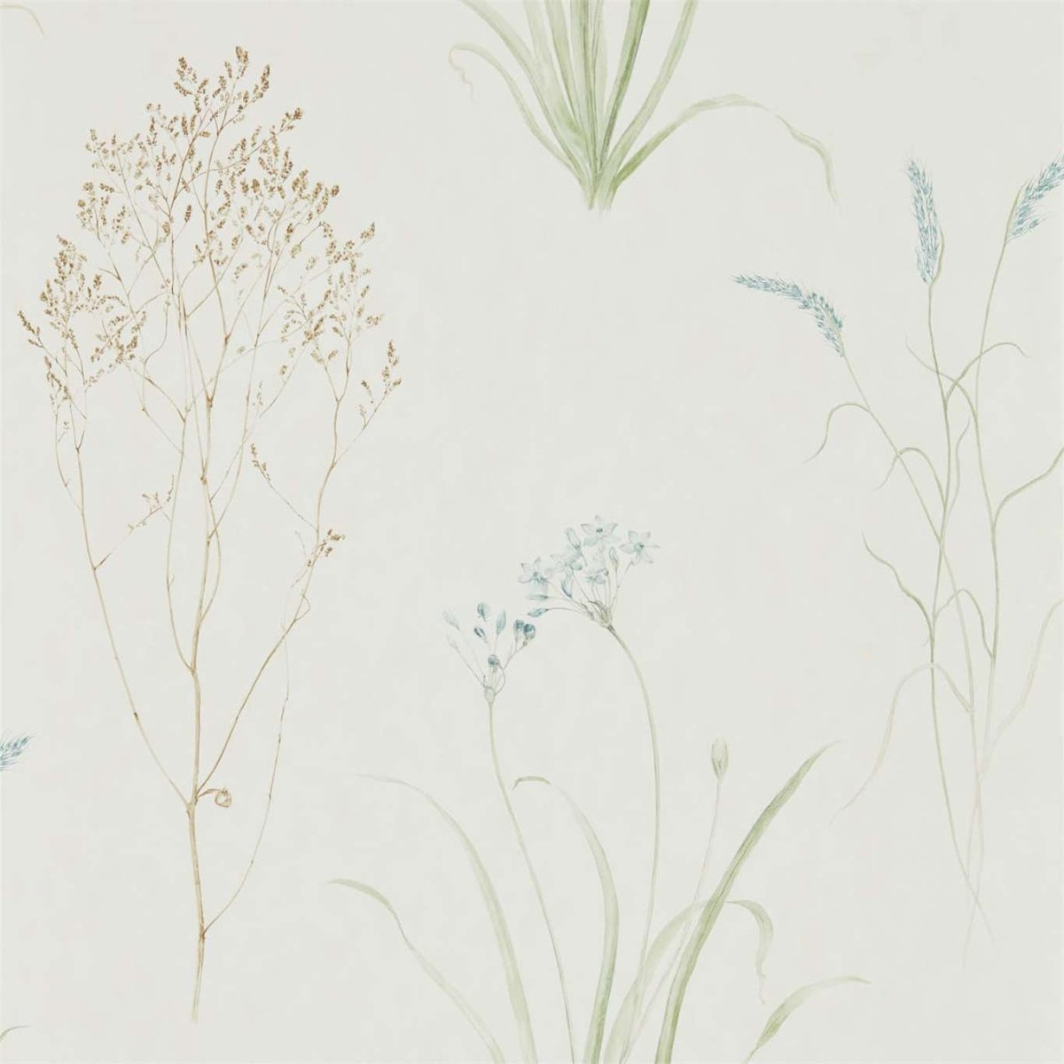 Sanderson Farne Grasses Behang 216486 - LAB COLOUR THE WORLD