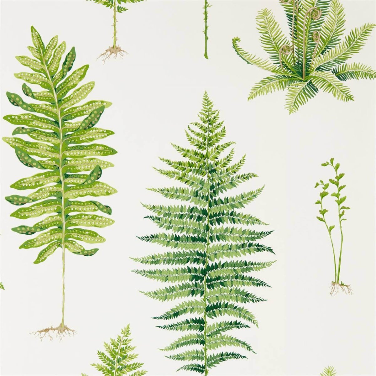 Sanderson Fernery Behang 216633 - LAB COLOUR THE WORLD