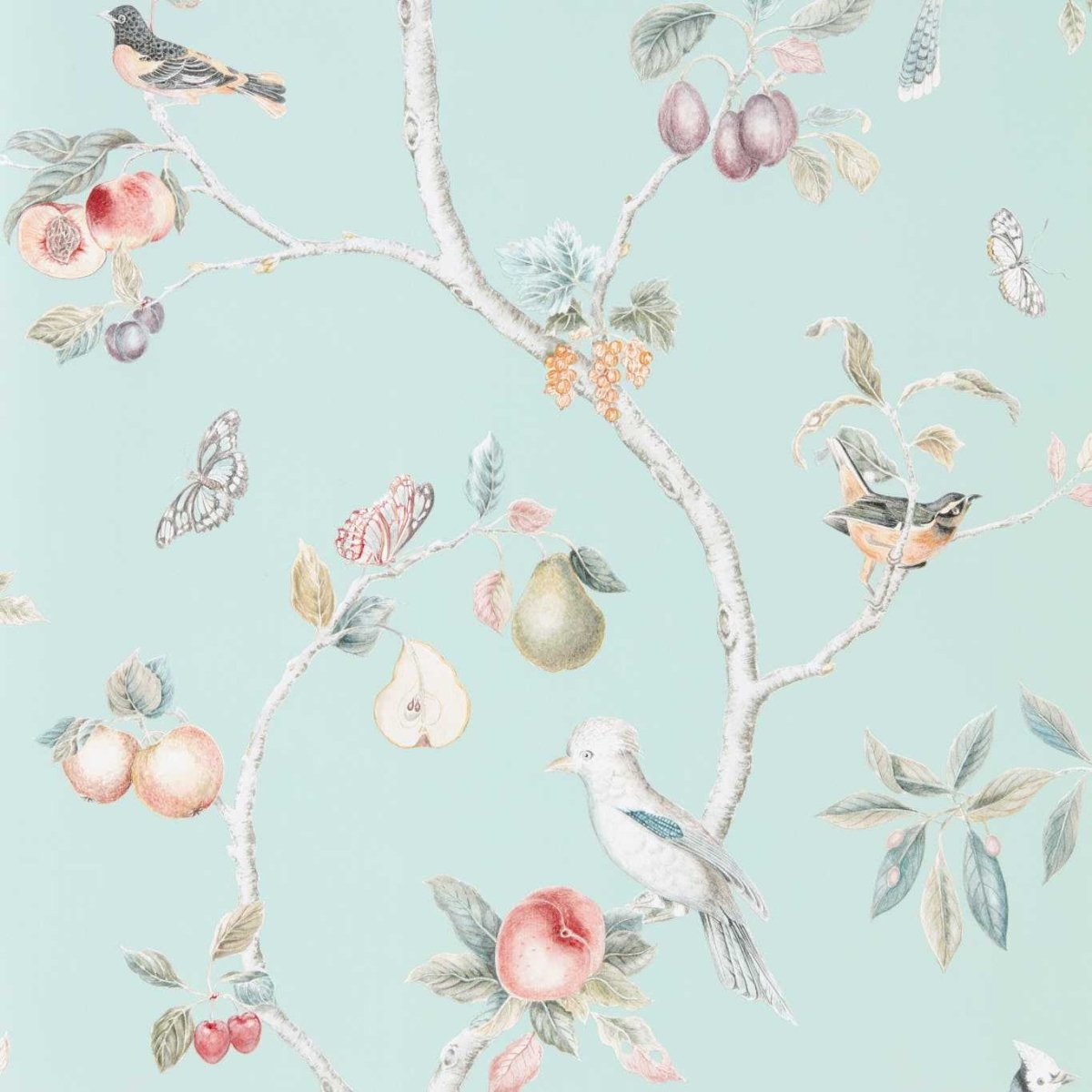 Sanderson Fruit Aviary Behang 216312 - LAB COLOUR THE WORLD