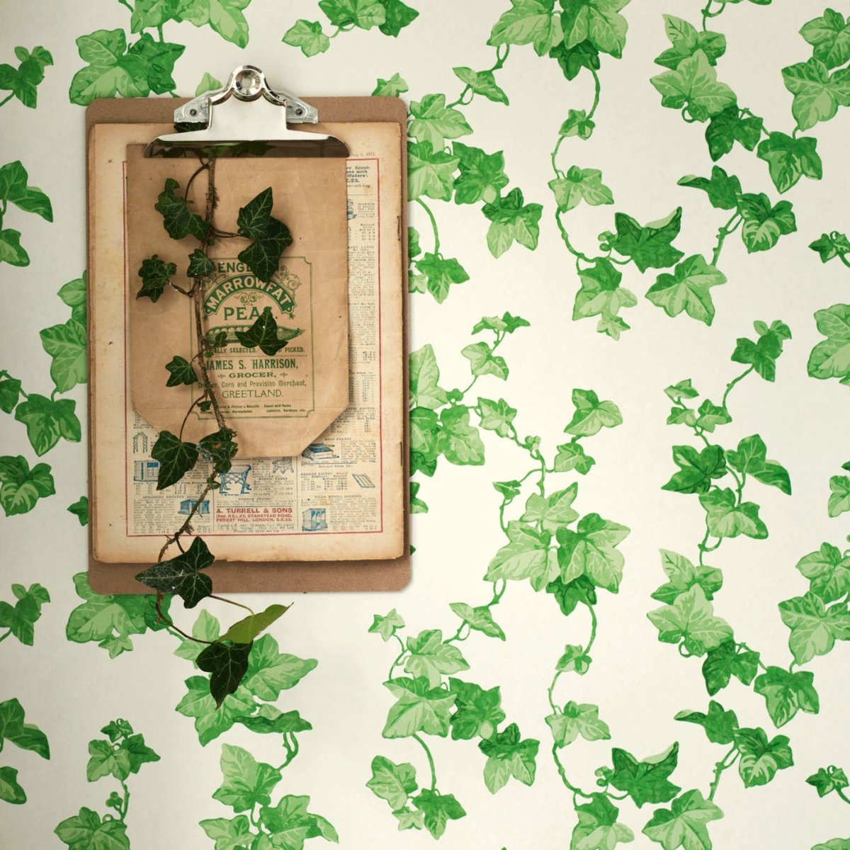 Sanderson Hedera Behang 214593 - LAB COLOUR THE WORLD