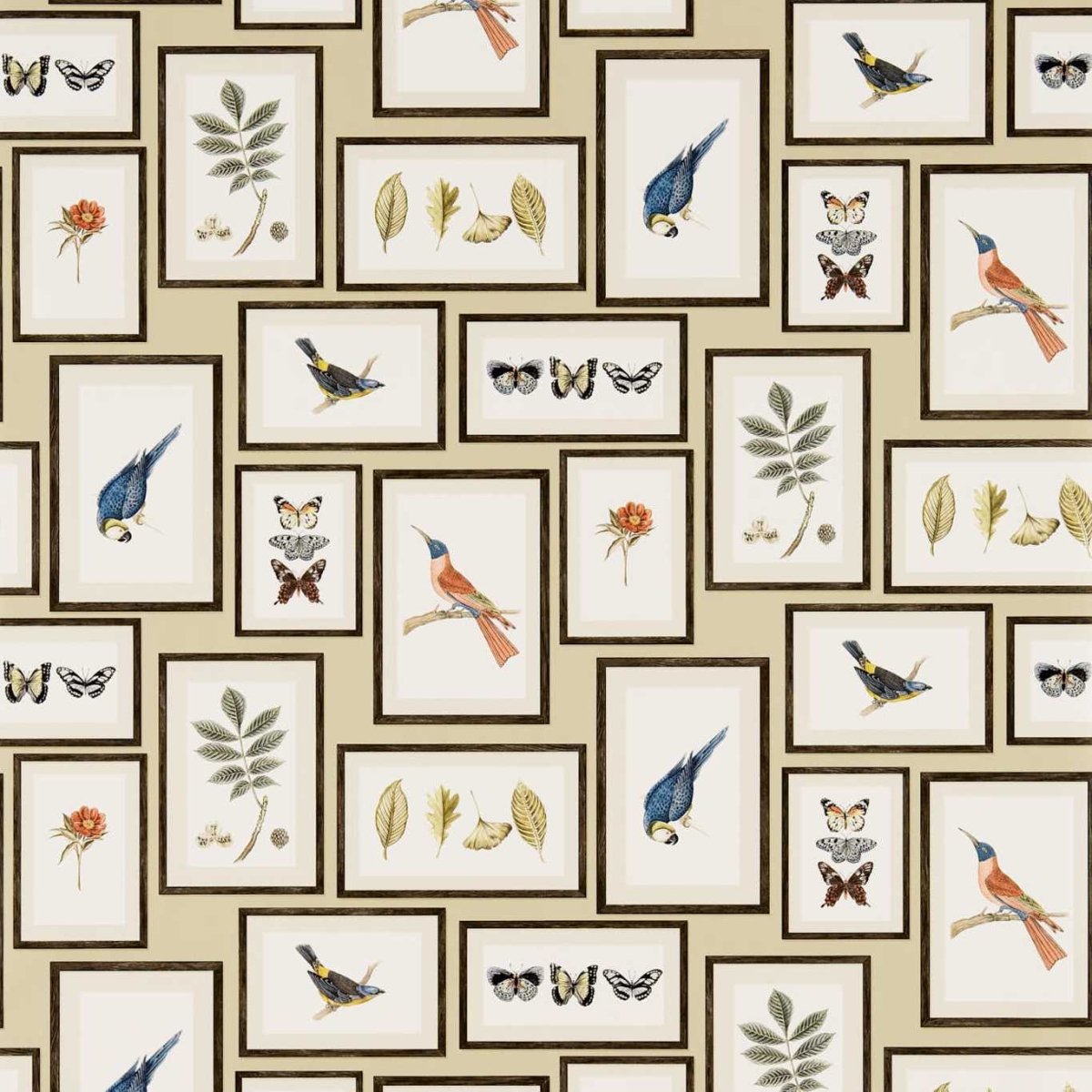 Sanderson Picture Gallery Behang 213399 - LAB COLOUR THE WORLD