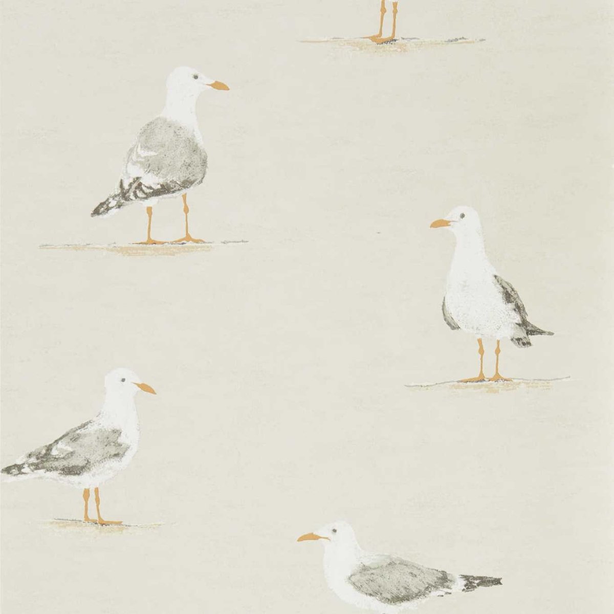 Sanderson Shore Birds Behang 216563 - LAB COLOUR THE WORLD