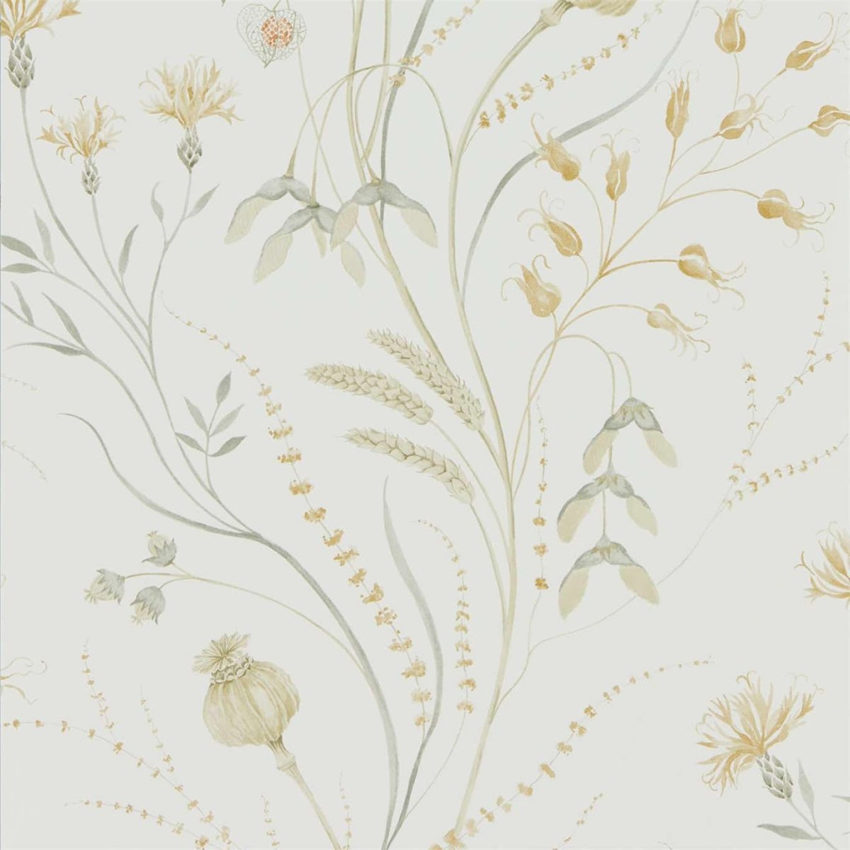 Sanderson Summer Harvest Behang 216497 - LAB COLOUR THE WORLD