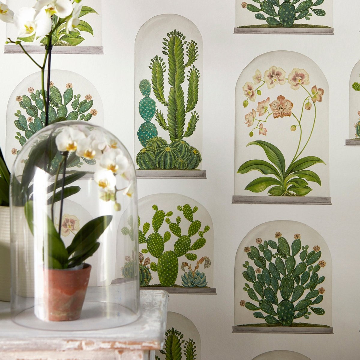 Sanderson Terrariums Behang 216656 - LAB COLOUR THE WORLD