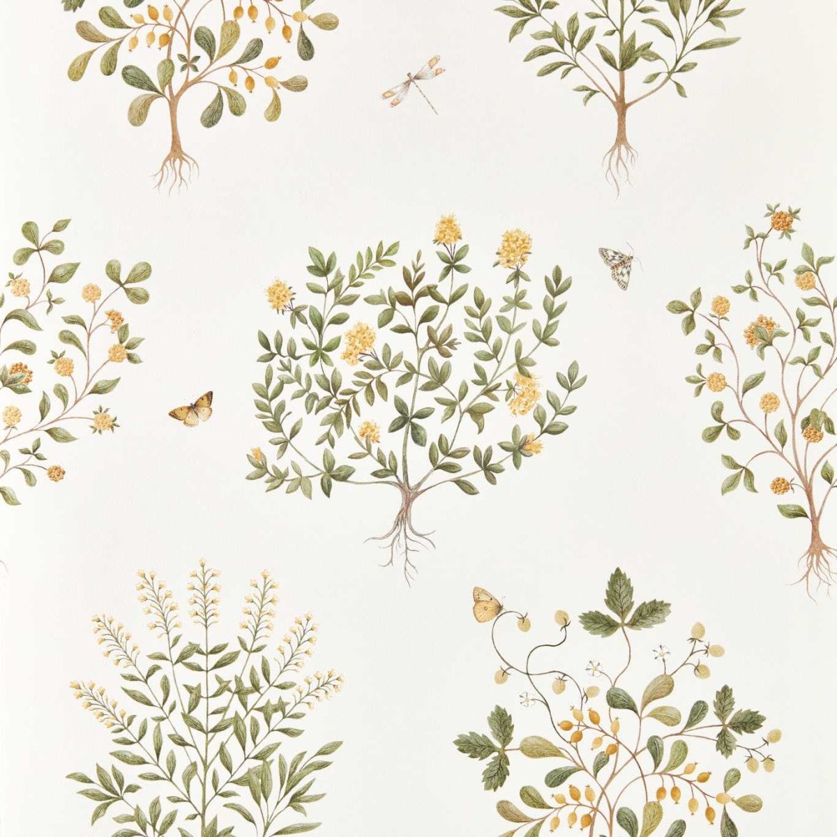Sanderson Thyme Walk Behang 217508 - LAB COLOUR THE WORLD