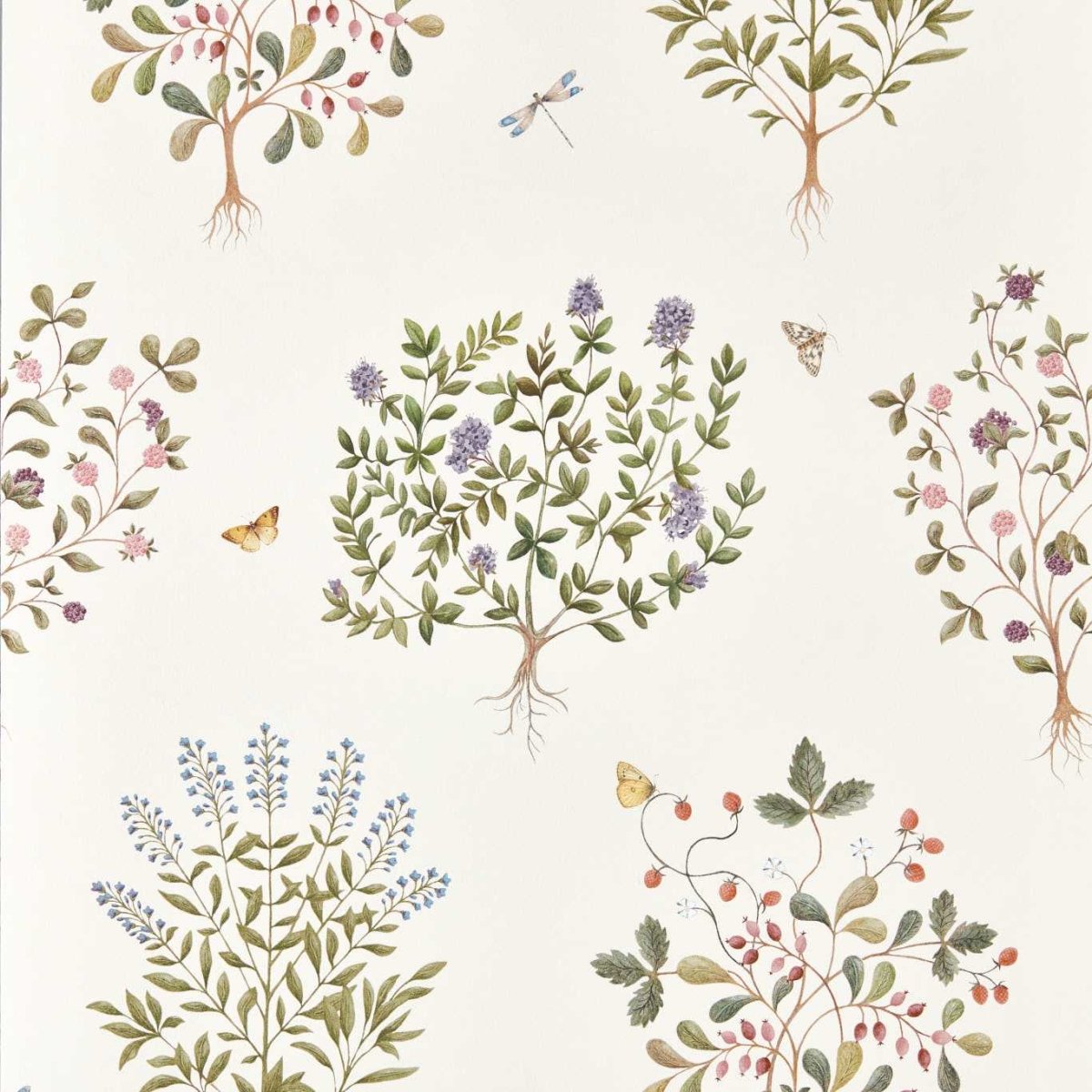 Sanderson Thyme Walk Behang 217509 - LAB COLOUR THE WORLD