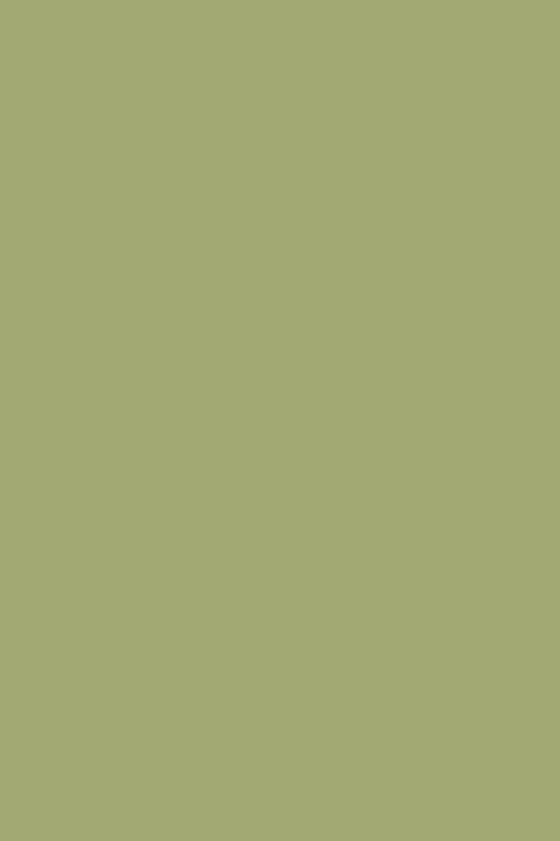 Saxon Green no. 80 - LAB COLOUR THE WORLD