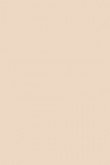 Setting Plaster no. 231 - LAB COLOUR THE WORLD