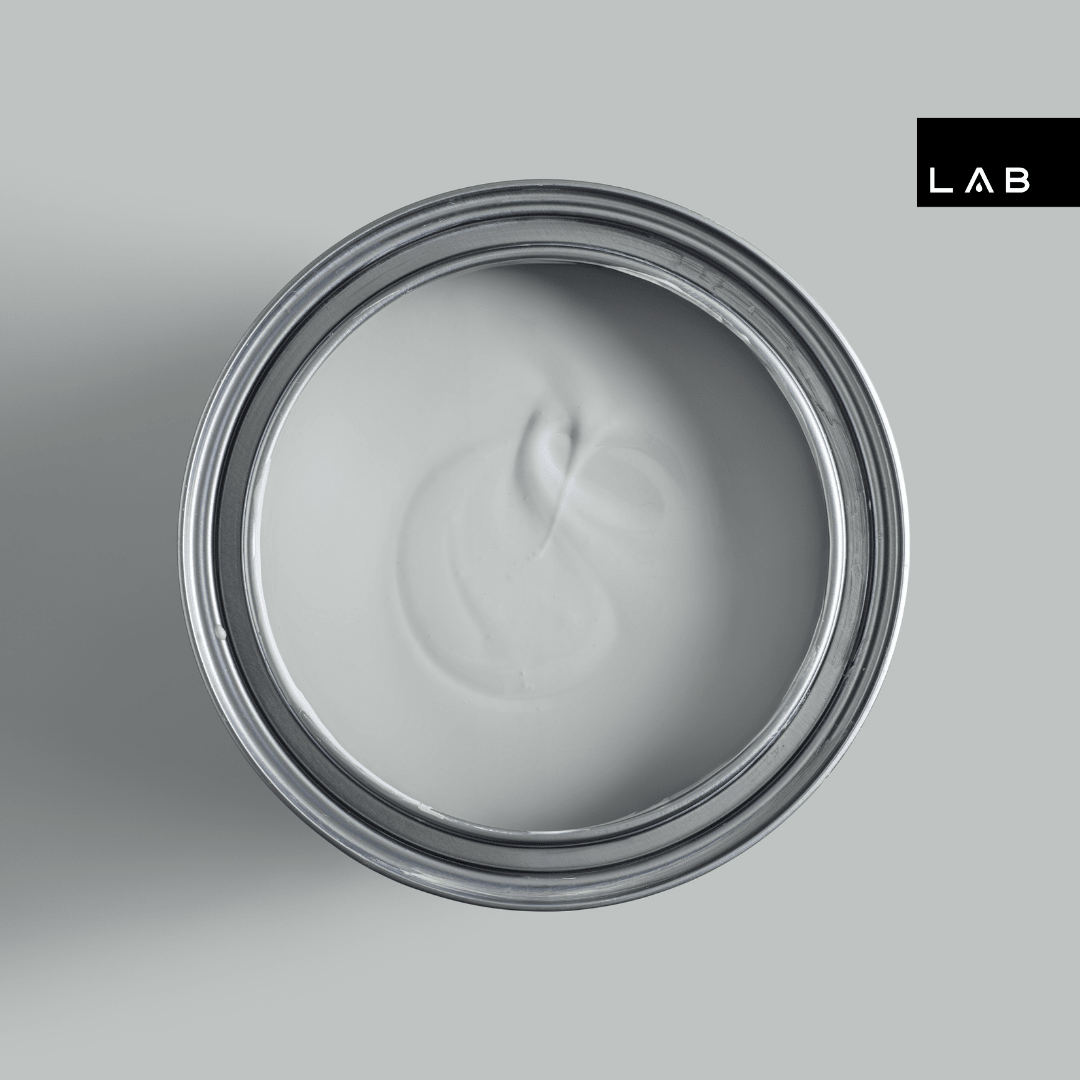 SILENCE NO. 107 - LAB COLOUR THE WORLD