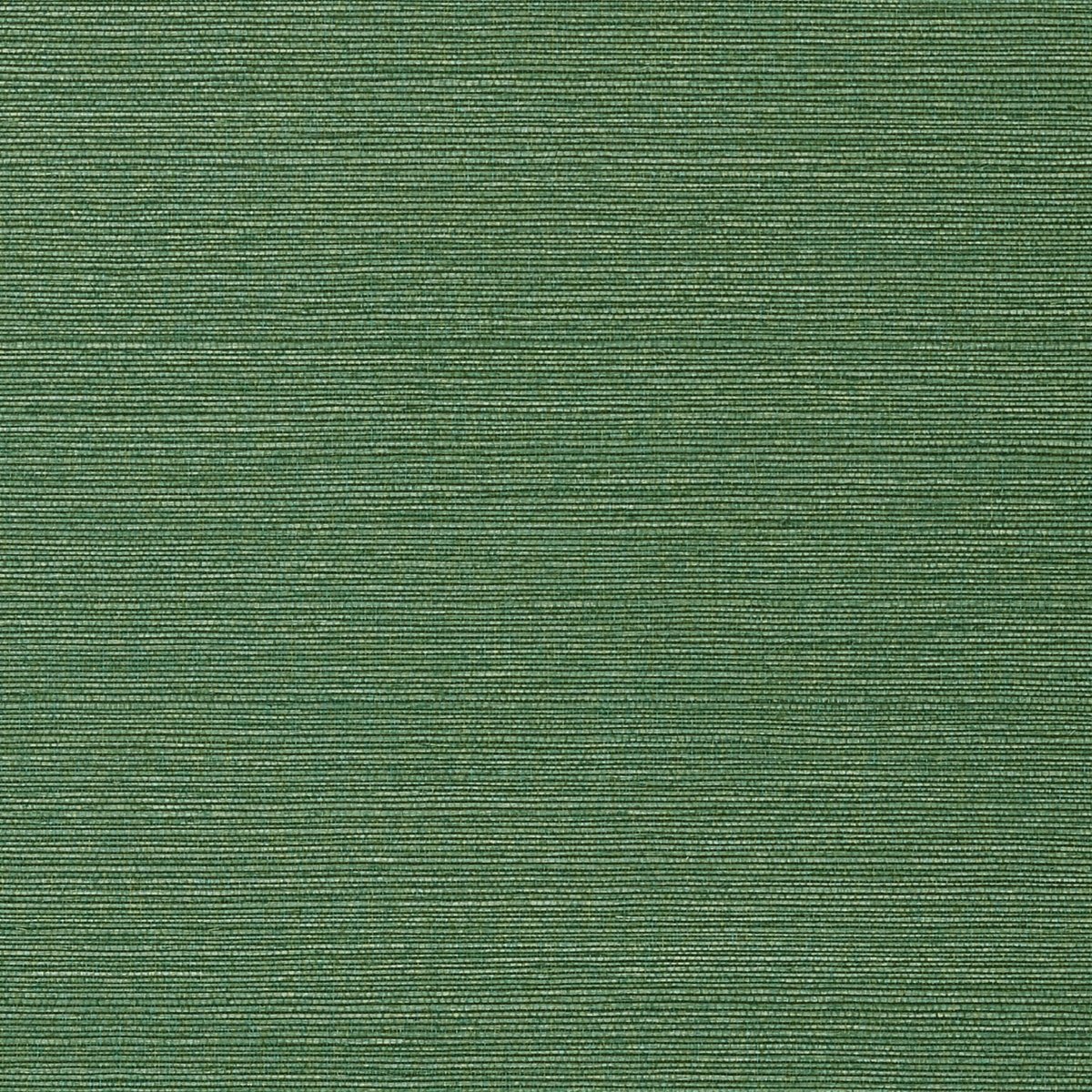Thibaut Faux Resource Taluk Sisal Behang T75154 - LAB COLOUR THE WORLD