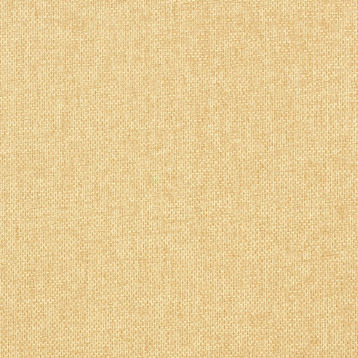 Thibaut Grasscloth Resource 3 Adriatic Behang T41123 - LAB COLOUR THE WORLD