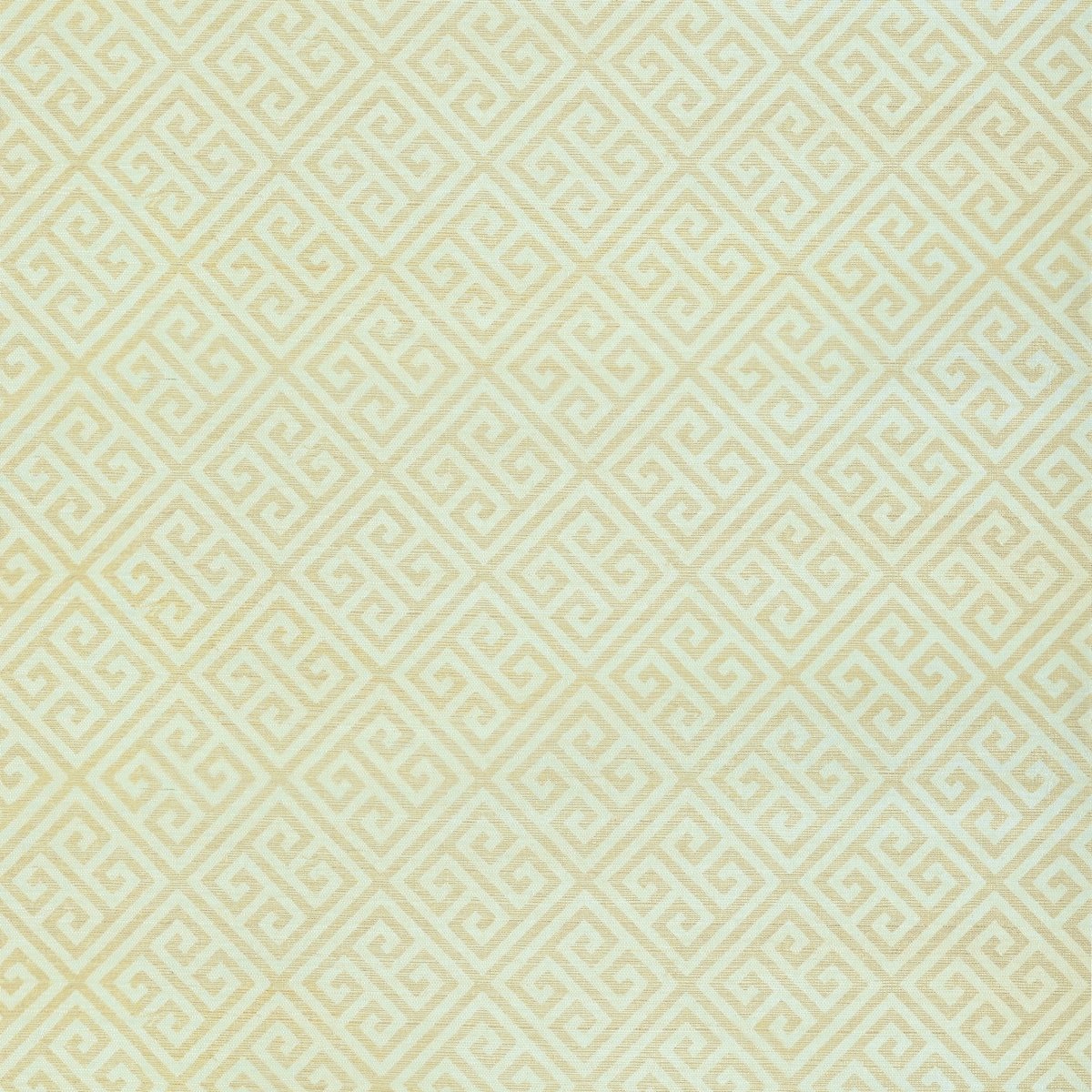 Thibaut Grasscloth Resource 3 Maze Grasscloth Behang T41195 - LAB COLOUR THE WORLD