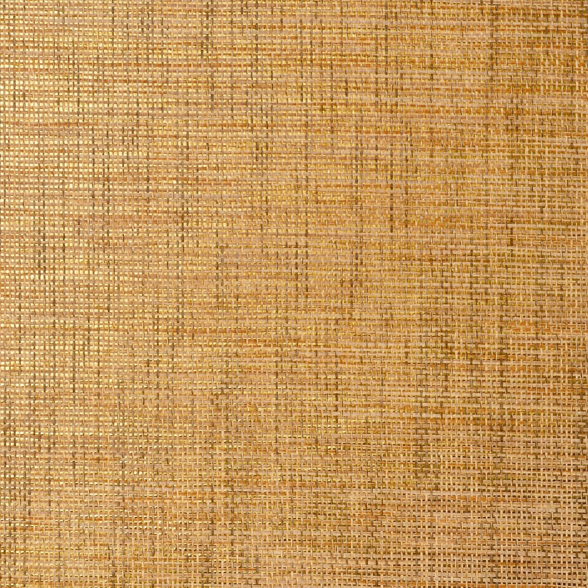 Thibaut Grasscloth Resource 3 Stablewood Behang T41148 - LAB COLOUR THE WORLD