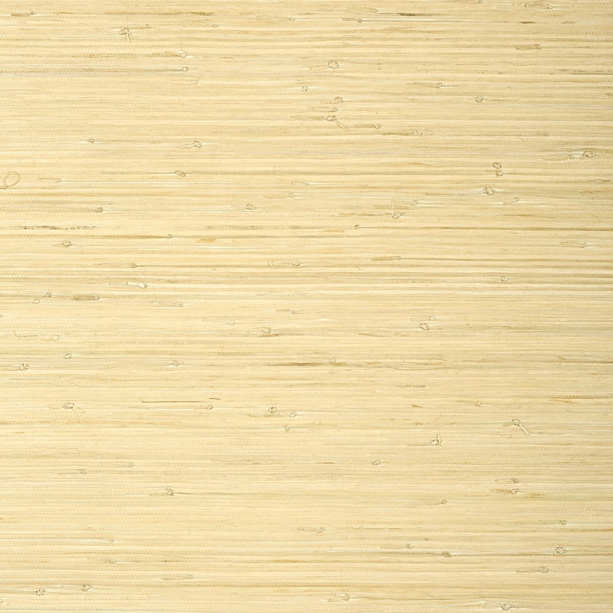 Thibaut Grasscloth Resource 5 Raffia Palm Behang T24065 - LAB COLOUR THE WORLD