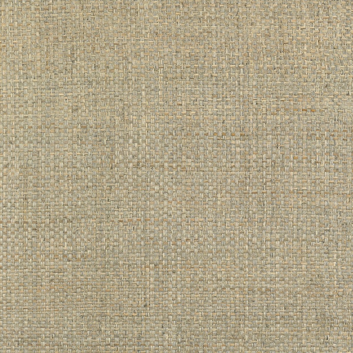Thibaut Grasscloth Resource 6 Lauderdale Behang T19605 - LAB COLOUR THE WORLD