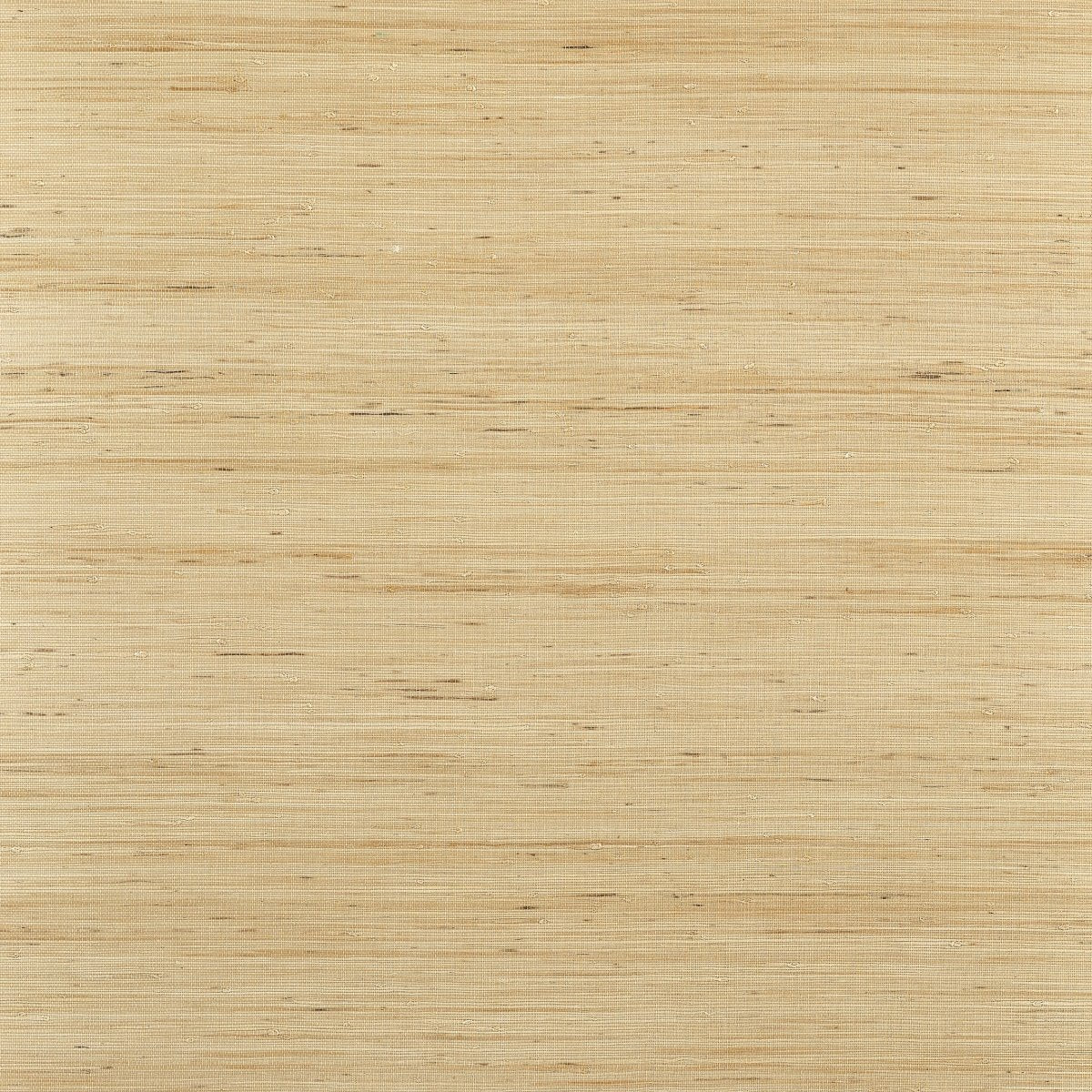 Thibaut Grasscloth Resource 6 Sydney Behang T19654 - LAB COLOUR THE WORLD