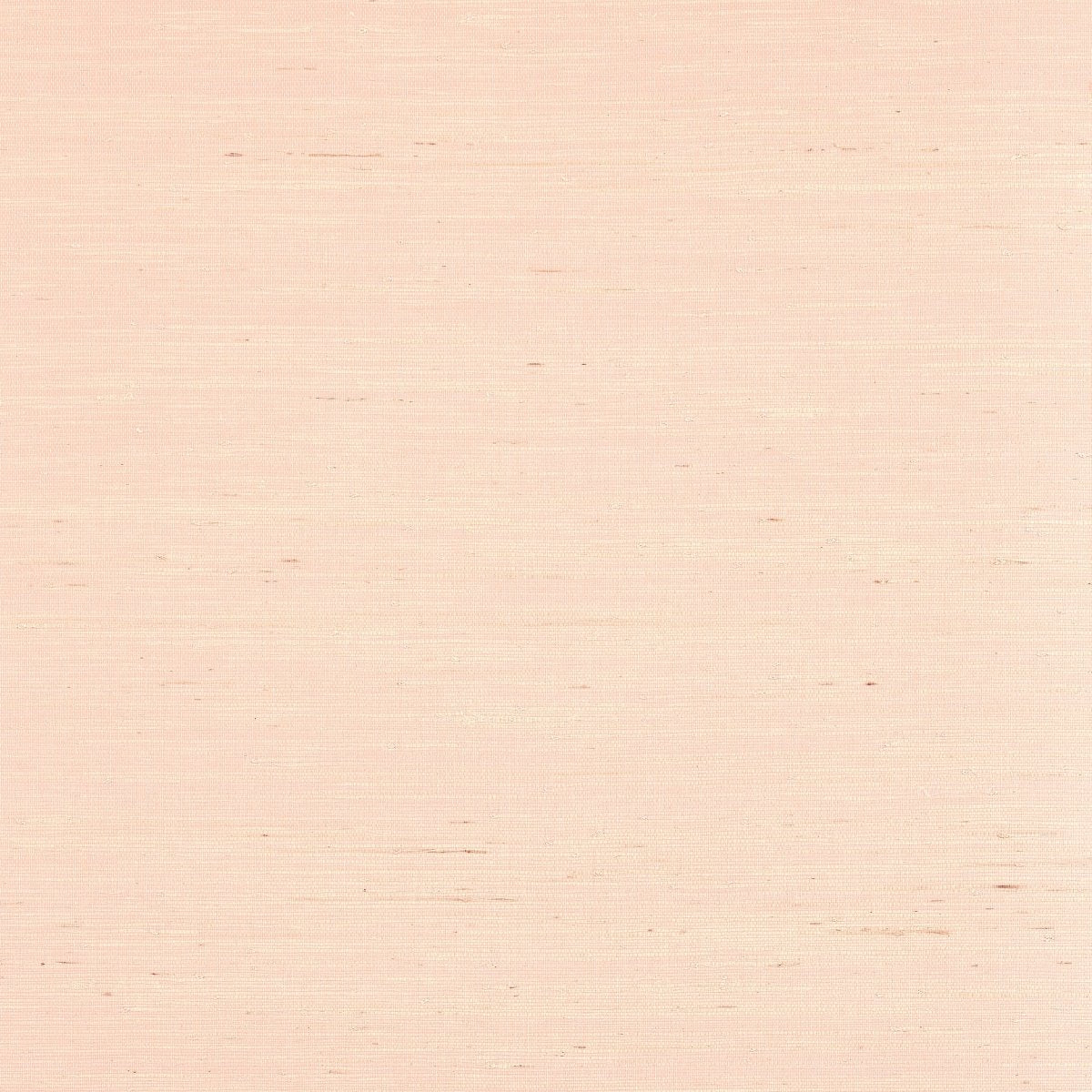 Thibaut Grasscloth Resource 6 Sydney Behang T19655 - LAB COLOUR THE WORLD