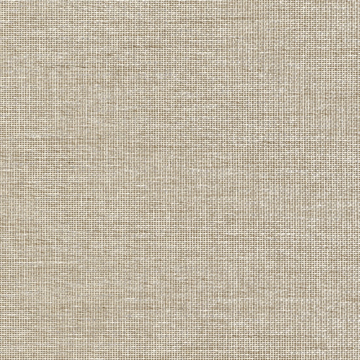 Thibaut Grasscloth Resource 7 Harrison Behang T10373 - LAB COLOUR THE WORLD