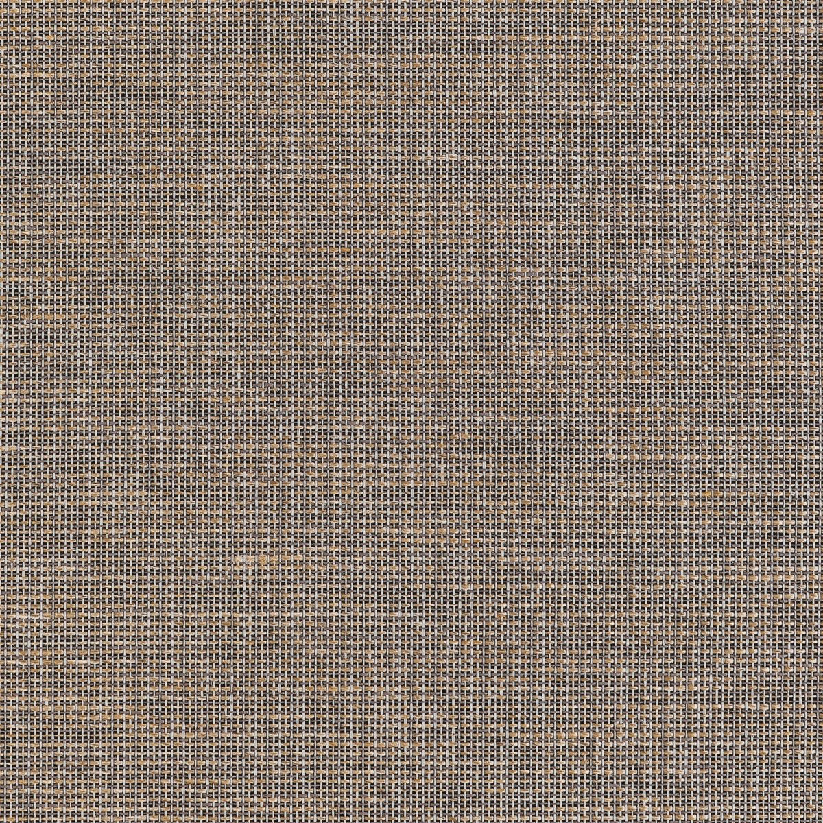 Thibaut Grasscloth Resource 7 Harrison Behang T10378 - LAB COLOUR THE WORLD