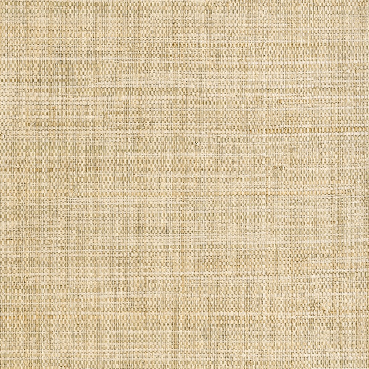 Thibaut Grasscloth Resource 7 Mackinac Behang T10300 - LAB COLOUR THE WORLD