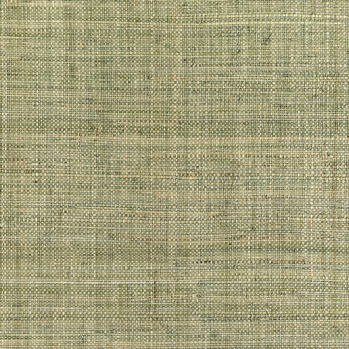 Thibaut Grasscloth Resource 7 Mackinac Behang T10302 - LAB COLOUR THE WORLD