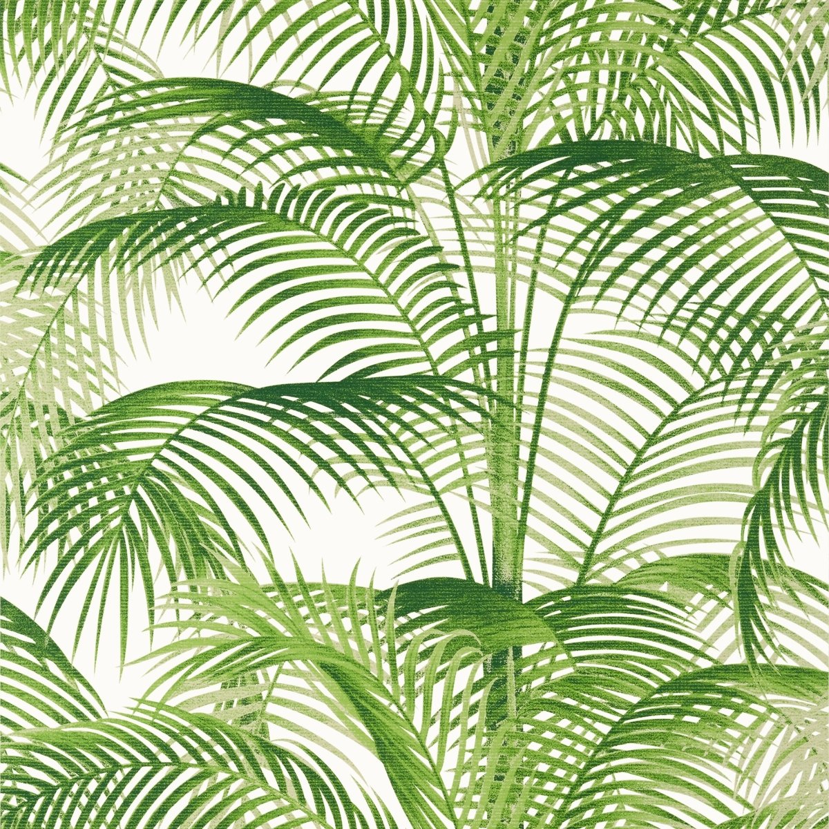 Thibaut Palm Grove Delray Behang T13938 - LAB COLOUR THE WORLD