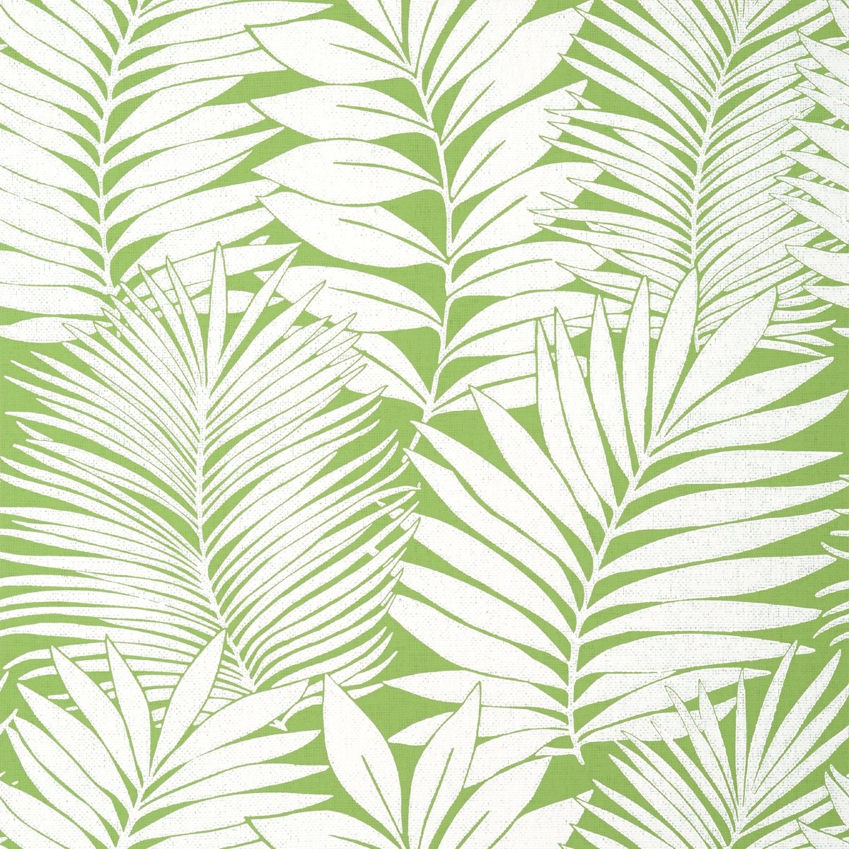 Thibaut Palm Grove Siesta Key Behang T13927 - LAB COLOUR THE WORLD
