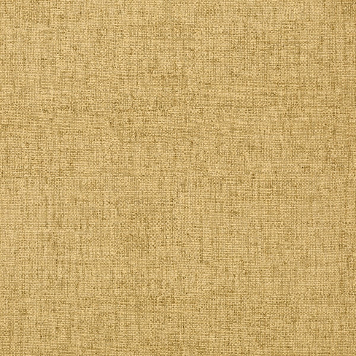 Thibaut Texture Resource 3 Bankun Raffia Behang T6811 - LAB COLOUR THE WORLD