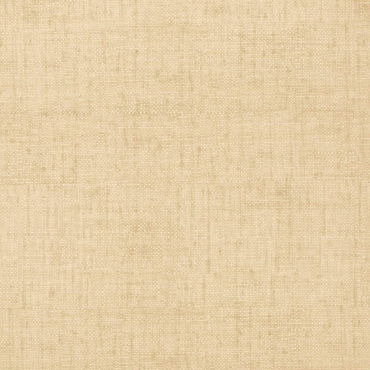 Thibaut Texture Resource 4 Bankun Raffia Behang T14136 - LAB COLOUR THE WORLD