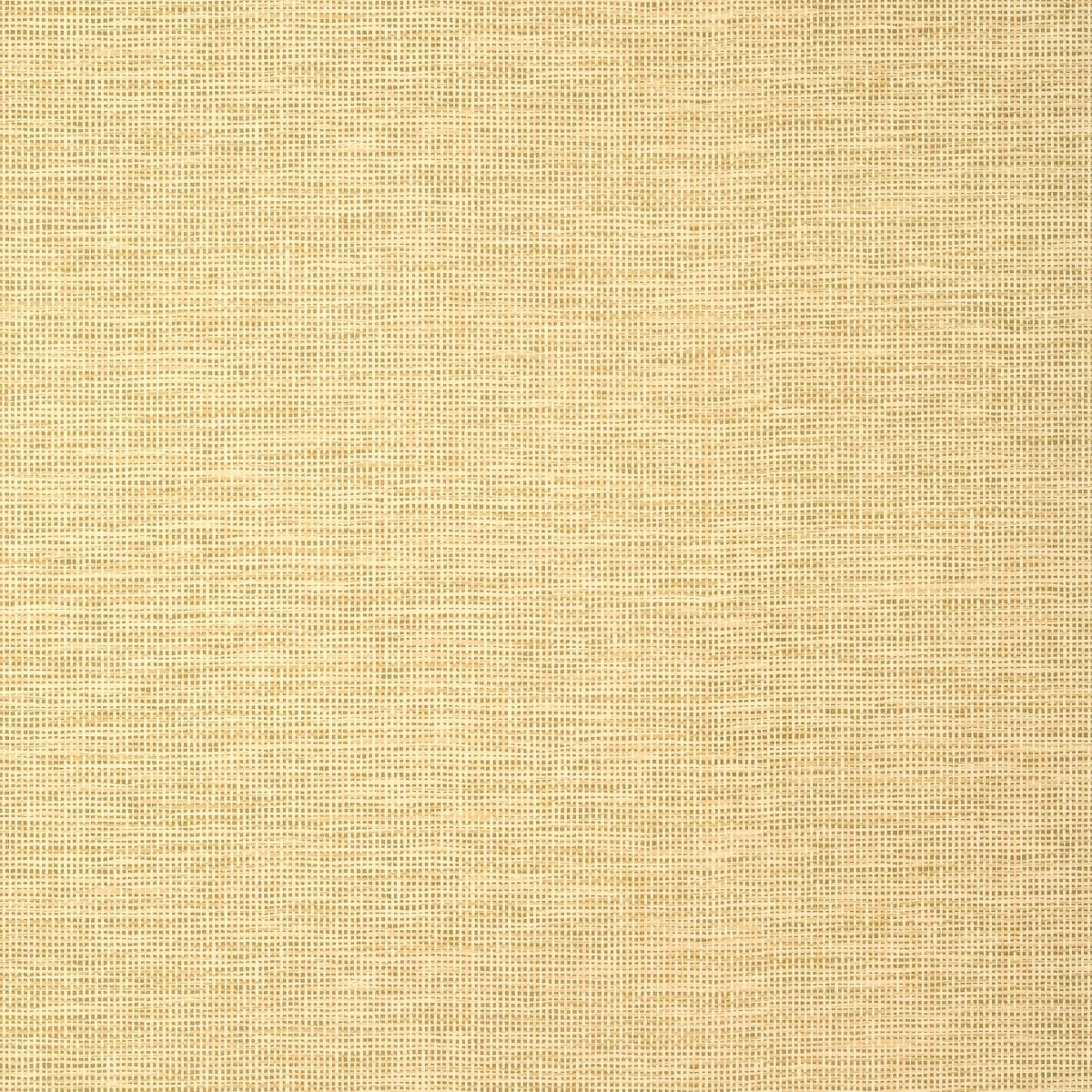 Thibaut Texture Resource 8 Spiro Behang T14564 - LAB COLOUR THE WORLD