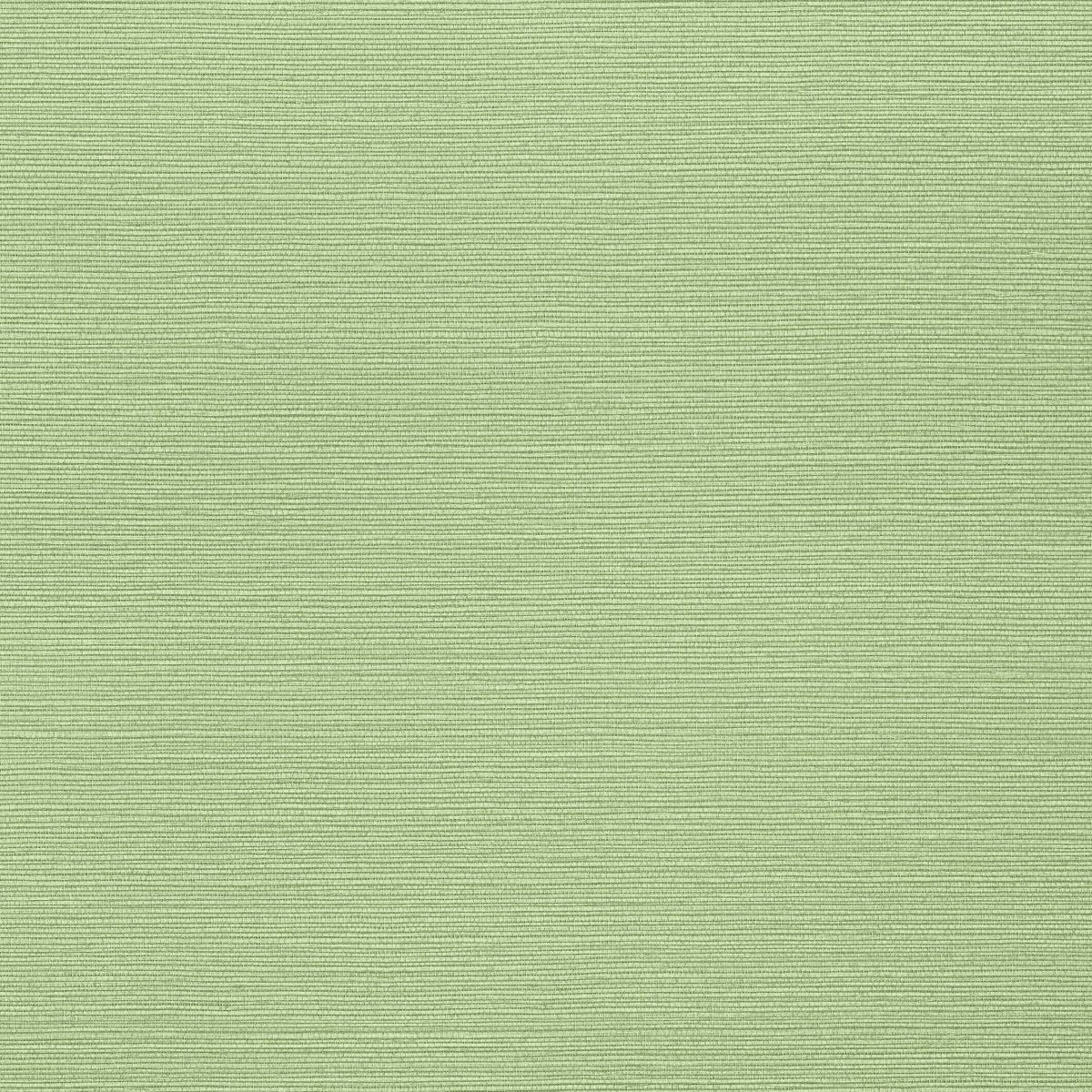 Thibaut Texture Resource 9 Taluk Sisal Behang T287 - LAB COLOUR THE WORLD