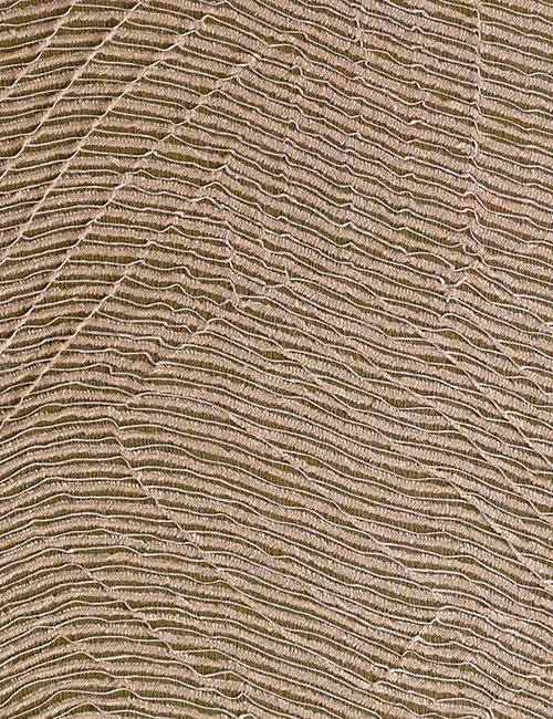 Tissage Mahieu Nuance Cubro Behang 215 - LAB COLOUR THE WORLD