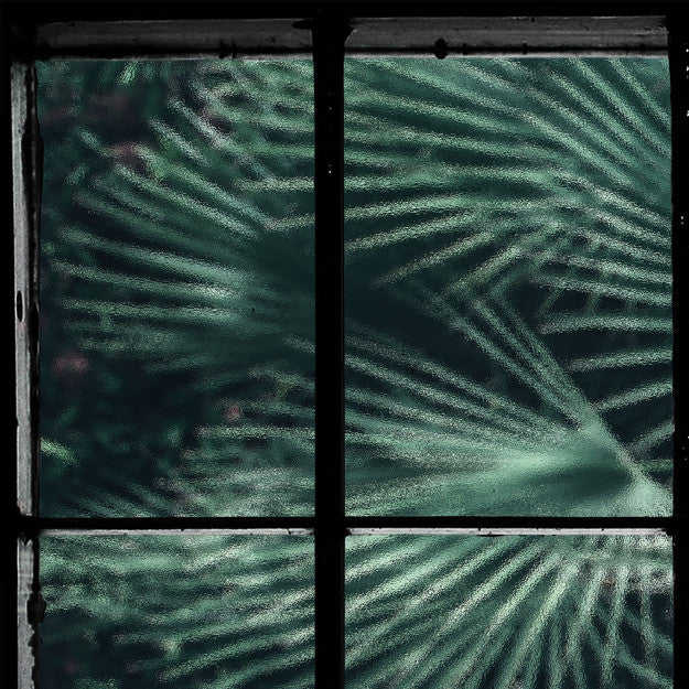 Les Dominotiers Tropical Window Vert Behang DOM 435