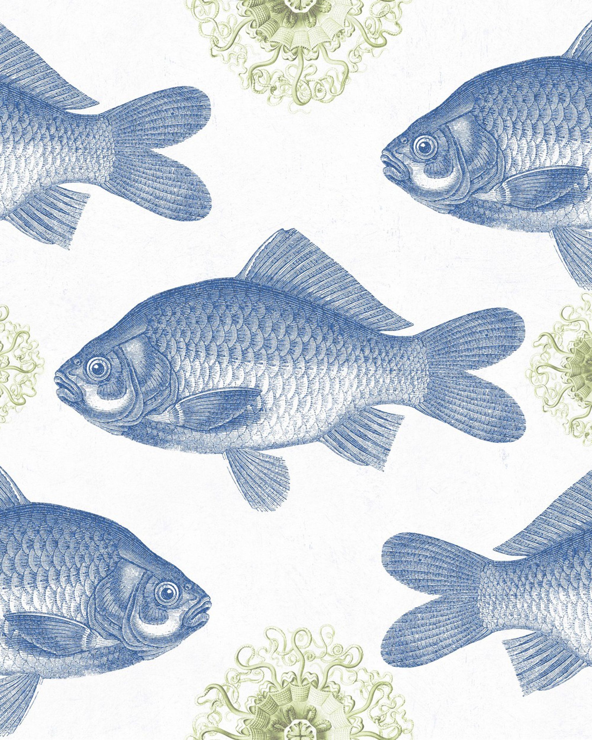 Mind The Gap Fish Blue Behang