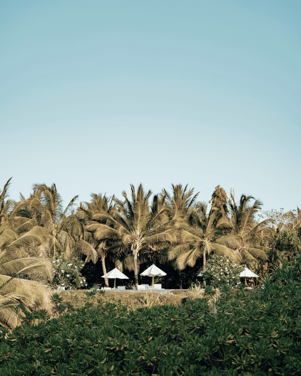 ZANZIBAR NO. 852 - LAB COLOUR THE WORLD