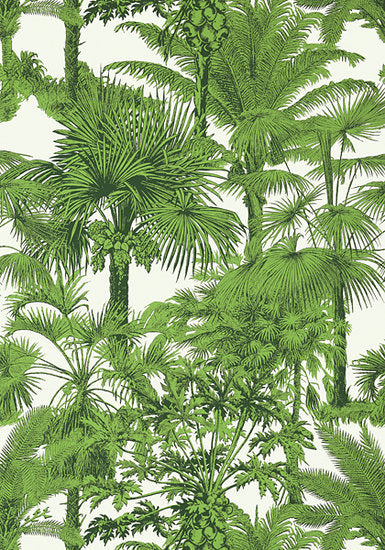 Thibaut Palm Botanical Behang Tropics Behang Collectie T10103