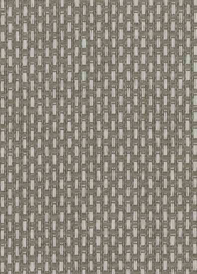 ARTE Ferox Behang Wildwalk Collectie 28063