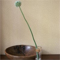 Morris & Co. behang William Morris Compilation 1 - Standen - nSfeer