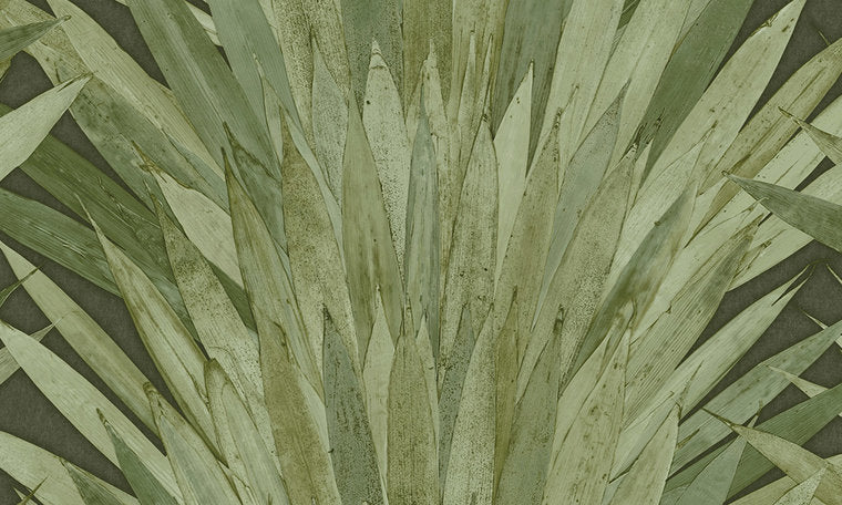 ARTE Abanico 34001 behang Selva behang collectie