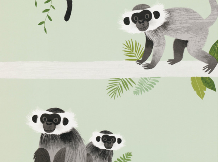 Villa Nova Monkey Bars Behang W567/01